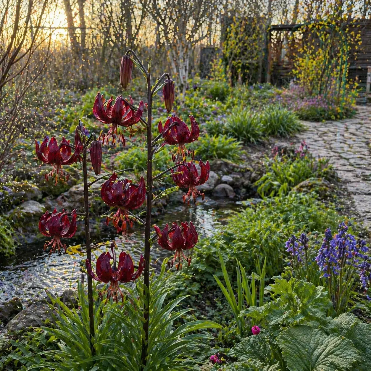 Відгук Наталії